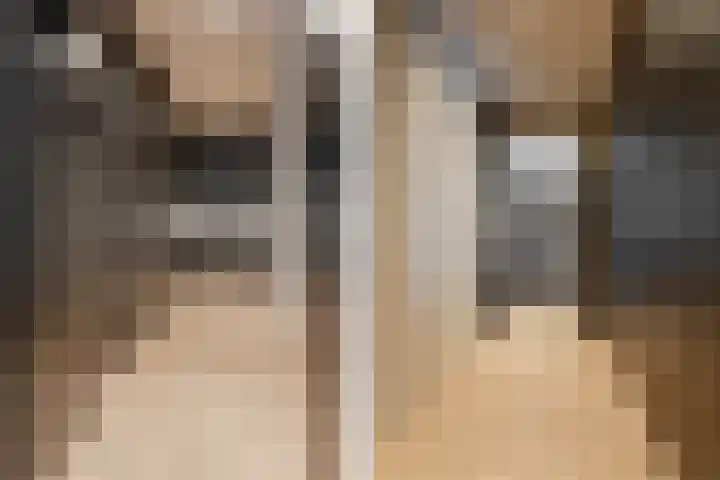 Binnenmaasoever 14 Maasdam thumbnail 27