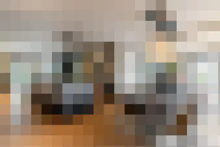 Binnenmaasoever 14 Maasdam foto 3