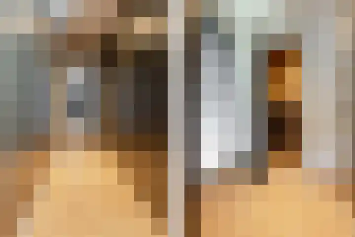 Binnenmaasoever 14 Maasdam thumbnail 31