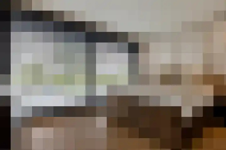 Binnenmaasoever 14 Maasdam thumbnail 32
