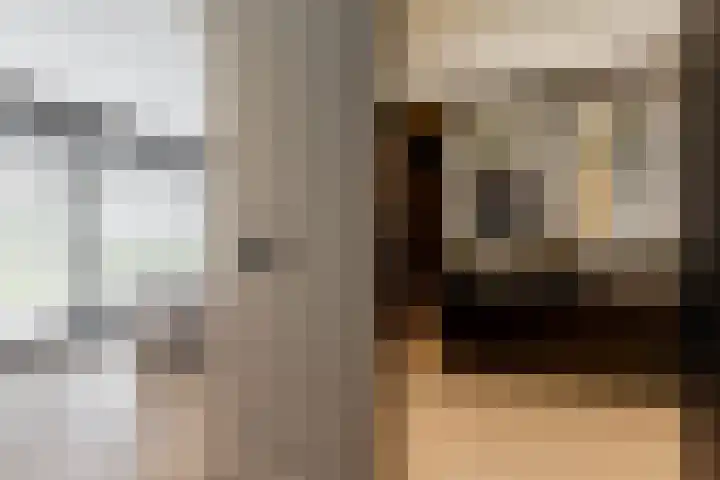 Binnenmaasoever 14 Maasdam thumbnail 33