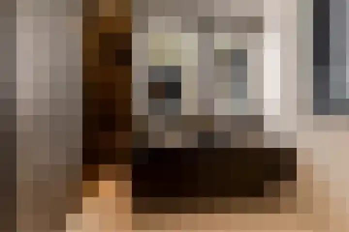 Binnenmaasoever 14 Maasdam thumbnail 34
