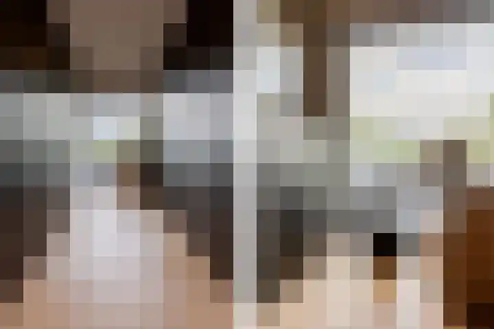 Binnenmaasoever 14 Maasdam thumbnail 35