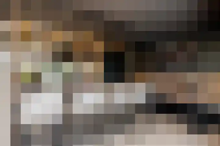 Binnenmaasoever 14 Maasdam thumbnail 36