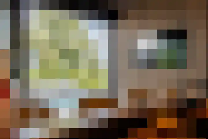 Binnenmaasoever 14 Maasdam thumbnail 37