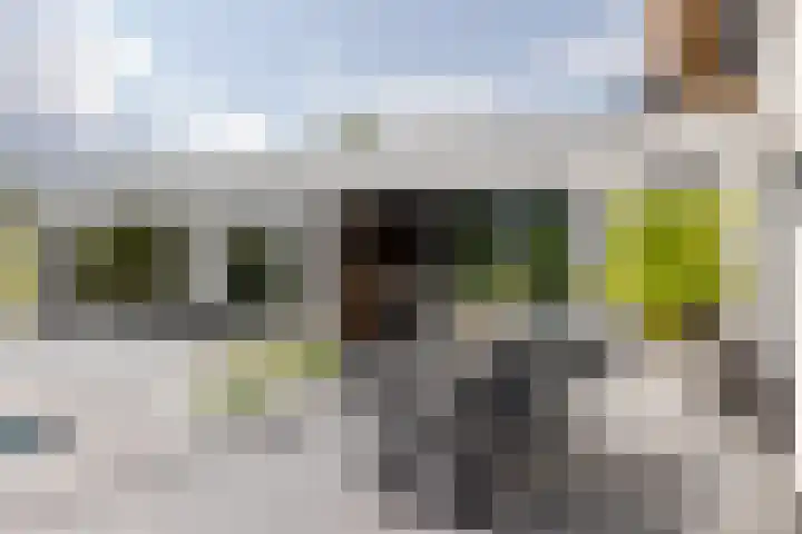 Binnenmaasoever 14 Maasdam thumbnail 39