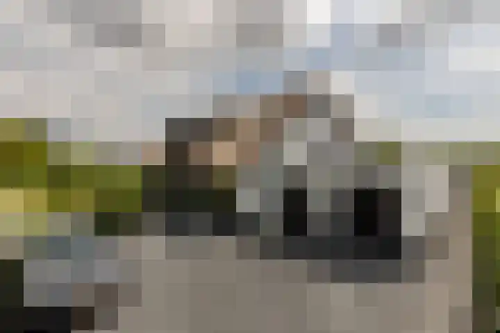 Binnenmaasoever 14 Maasdam thumbnail 4