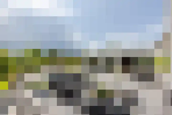 Binnenmaasoever 14 Maasdam thumbnail 40