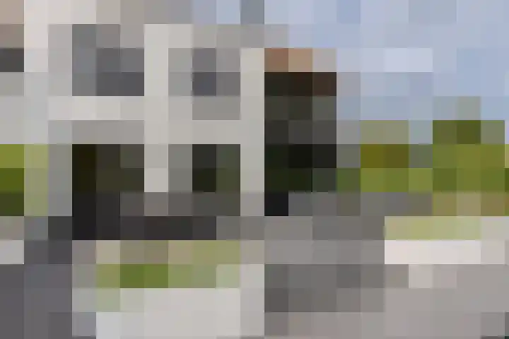 Binnenmaasoever 14 Maasdam thumbnail 41
