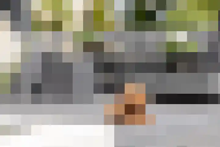 Binnenmaasoever 14 Maasdam thumbnail 42
