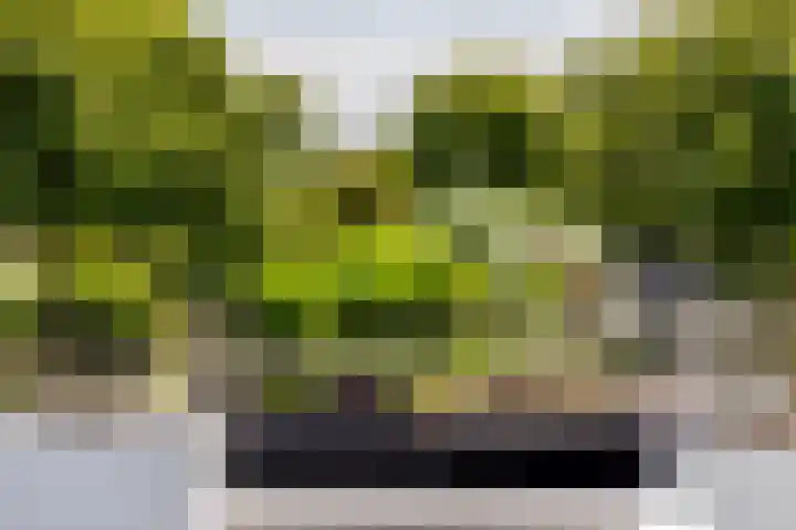 Binnenmaasoever 14 Maasdam thumbnail 44
