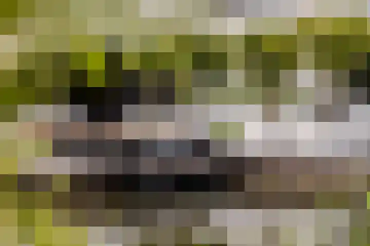 Binnenmaasoever 14 Maasdam thumbnail 45