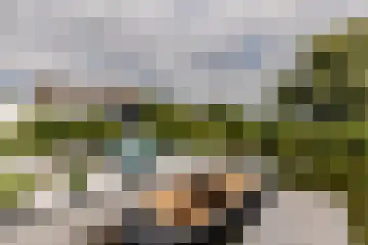 Binnenmaasoever 14 Maasdam thumbnail 46