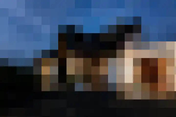 Binnenmaasoever 14 Maasdam thumbnail 5
