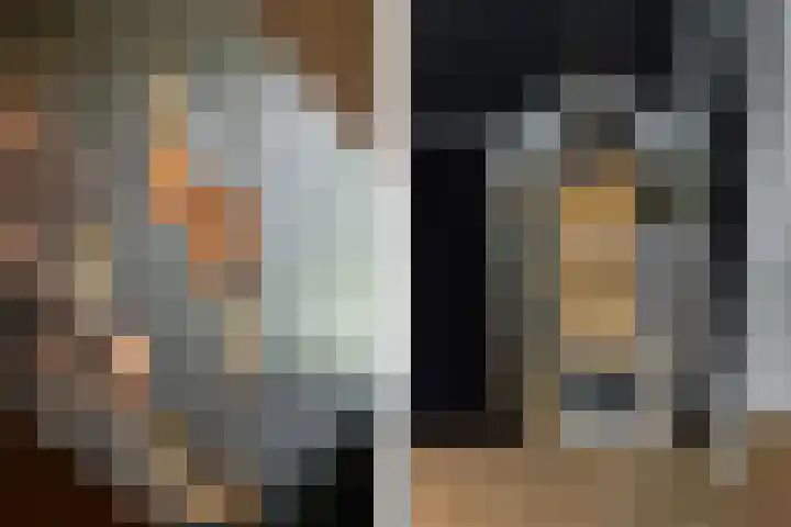 Binnenmaasoever 14 Maasdam thumbnail 50