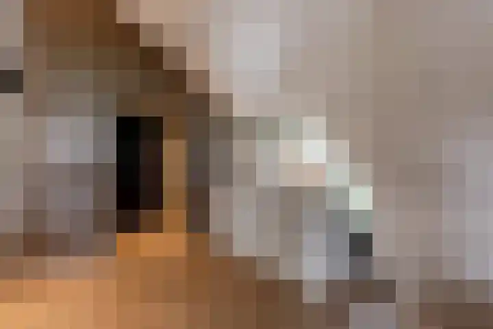 Binnenmaasoever 14 Maasdam thumbnail 51