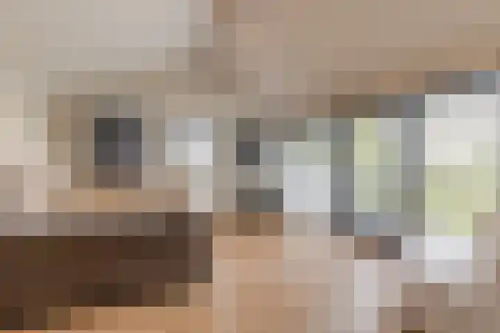 Binnenmaasoever 14 Maasdam thumbnail 52