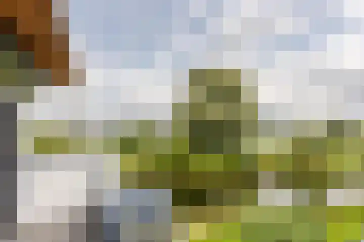 Binnenmaasoever 14 Maasdam thumbnail 54