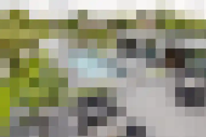 Binnenmaasoever 14 Maasdam thumbnail 55