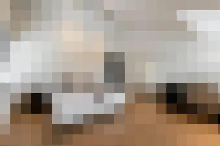 Binnenmaasoever 14 Maasdam thumbnail 58
