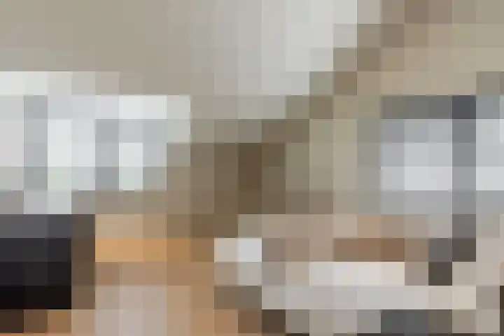 Binnenmaasoever 14 Maasdam thumbnail 59