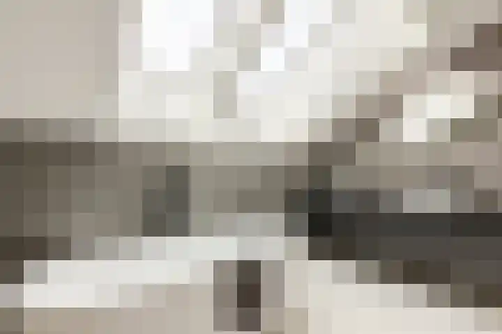 Binnenmaasoever 14 Maasdam thumbnail 60