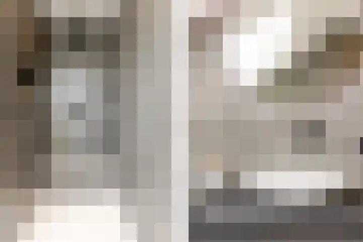 Binnenmaasoever 14 Maasdam thumbnail 61