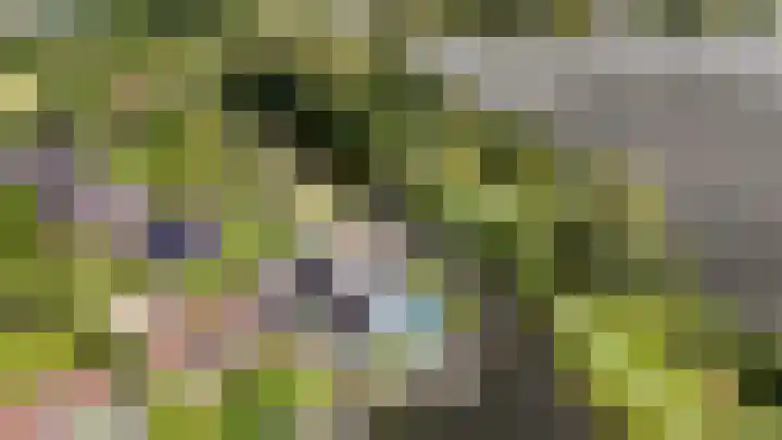 Binnenmaasoever 14 Maasdam thumbnail 62