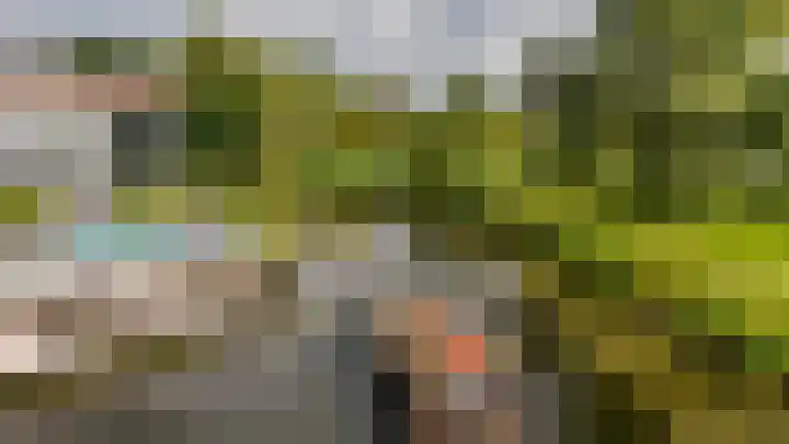 Binnenmaasoever 14 Maasdam thumbnail 63