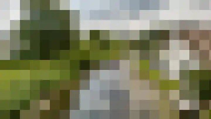 Binnenmaasoever 14 Maasdam thumbnail 65