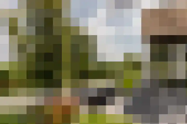 Binnenmaasoever 14 Maasdam thumbnail 66