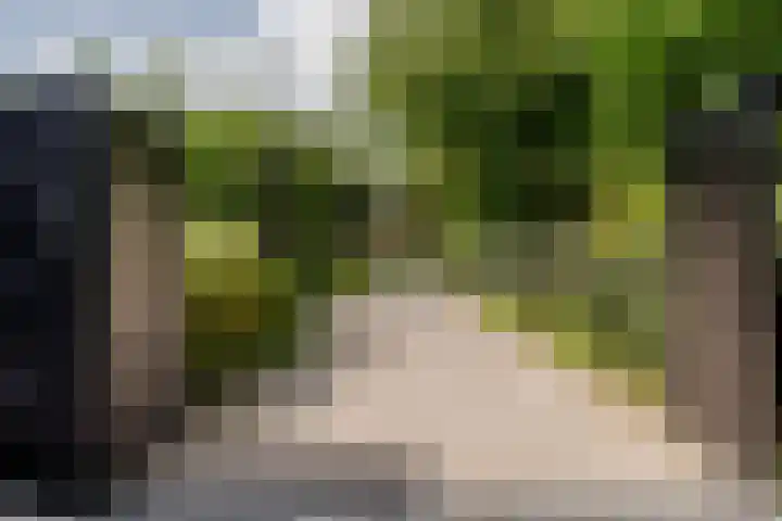 Binnenmaasoever 14 Maasdam thumbnail 68