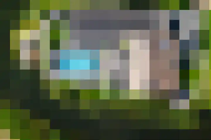 Binnenmaasoever 14 Maasdam thumbnail 69