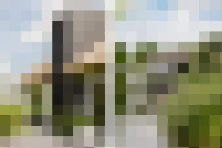Binnenmaasoever 14 Maasdam thumbnail 7