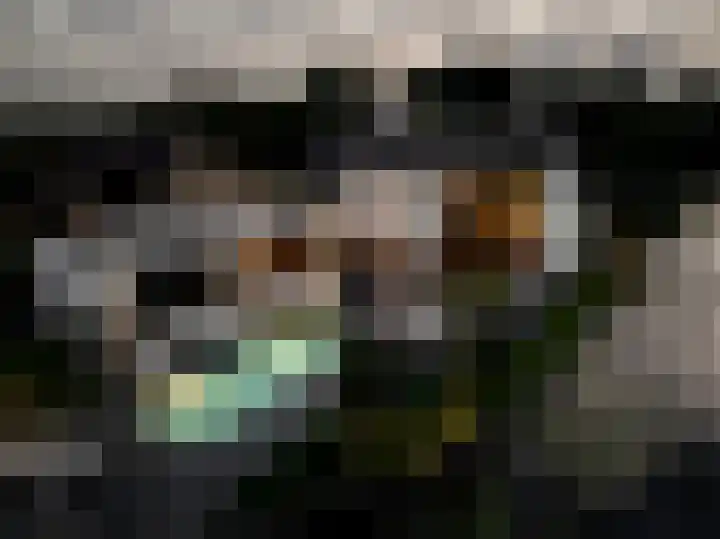 Binnenmaasoever 14 Maasdam thumbnail 70