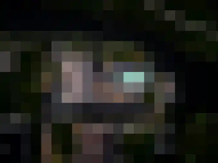 Binnenmaasoever 14 Maasdam thumbnail 71