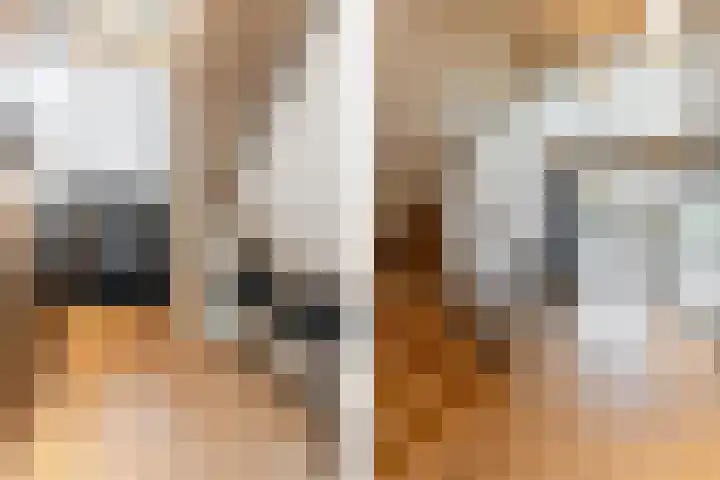 Binnenmaasoever 14 Maasdam thumbnail 8