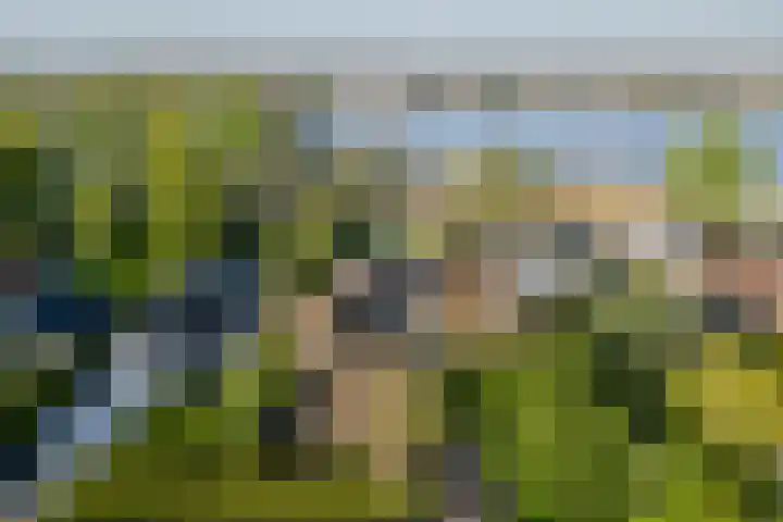 Binnenmaasoever 18 en Maasdam