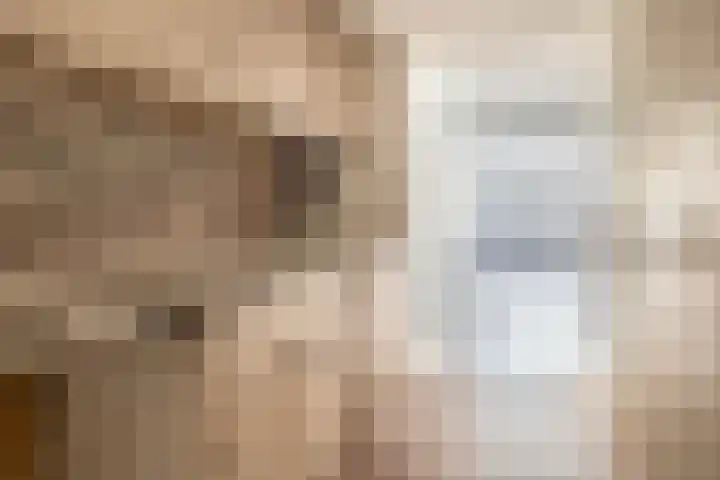 Binnenmolenstraat 11 Tiel thumbnail 12