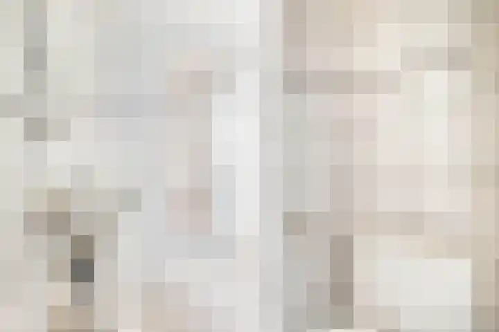 Binnenmolenstraat 11 Tiel thumbnail 13