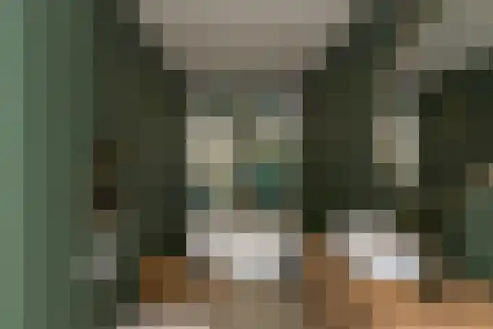 Binnenmolenstraat 11 Tiel thumbnail 15