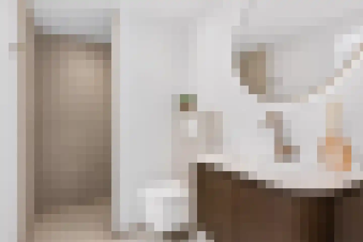 Binnenmolenstraat 11 Tiel thumbnail 6
