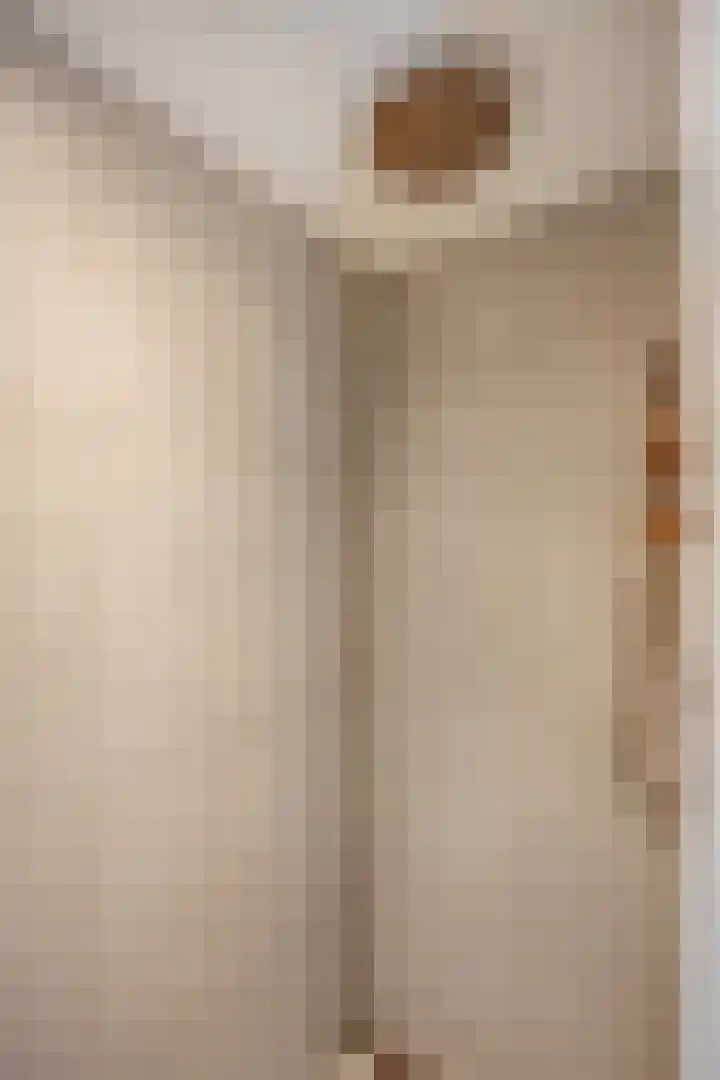 Binnenmolenstraat 11 Tiel thumbnail 7