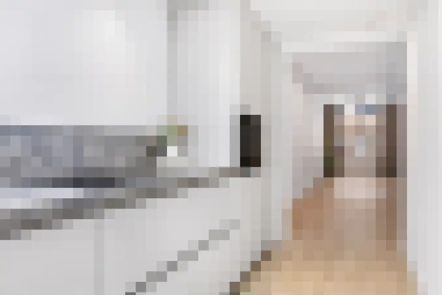 Binnenmolenstraat 11 Tiel thumbnail 9