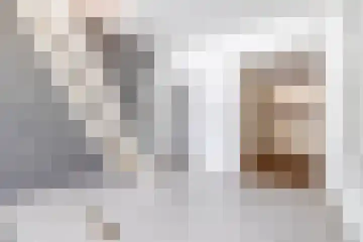 Binnenmolenstraat 11 Tiel thumbnail 9