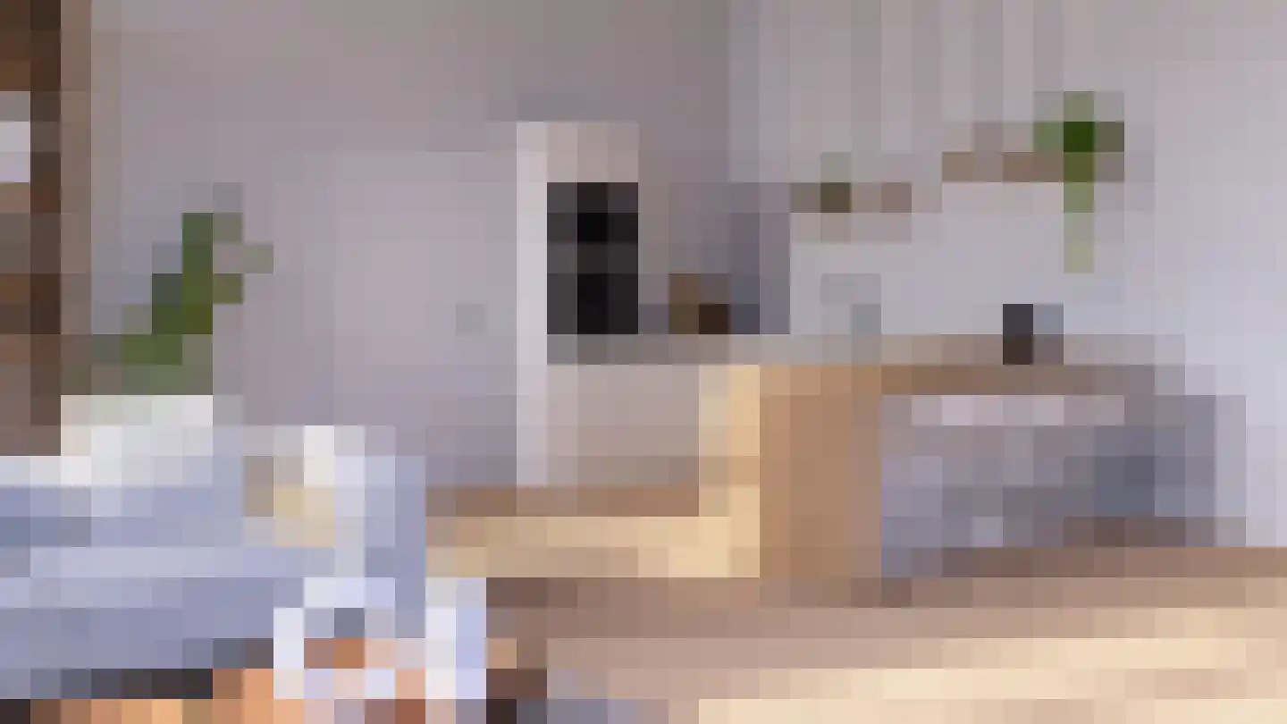 Binnenmolenstraat 6 c Tiel thumbnail 4