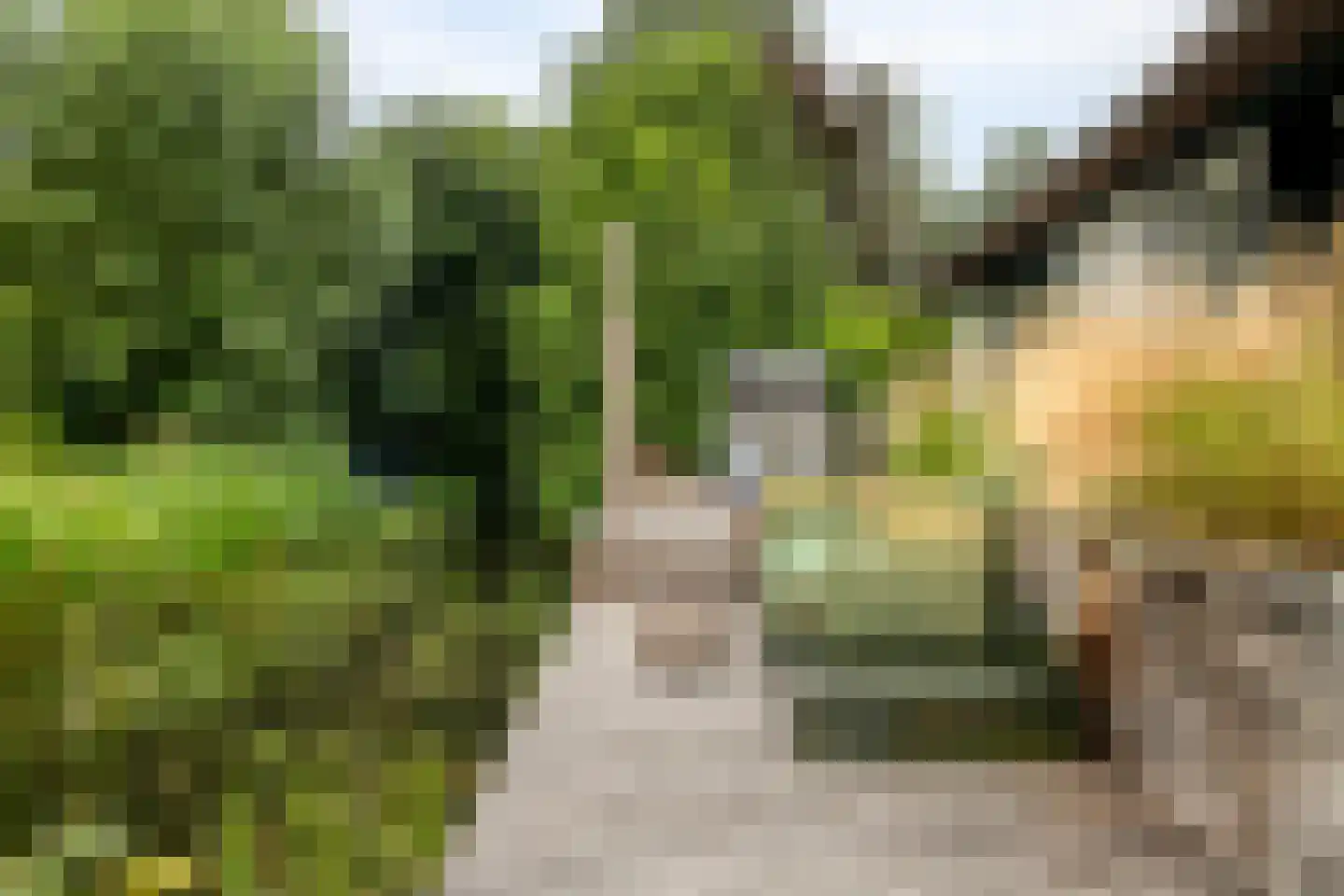 Binnenpad 117 Giethoorn thumbnail 44