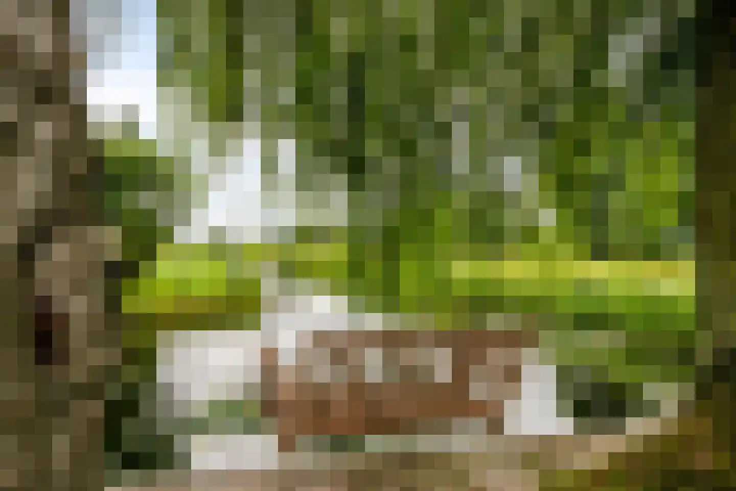 Binnenpad 117 Giethoorn thumbnail 50