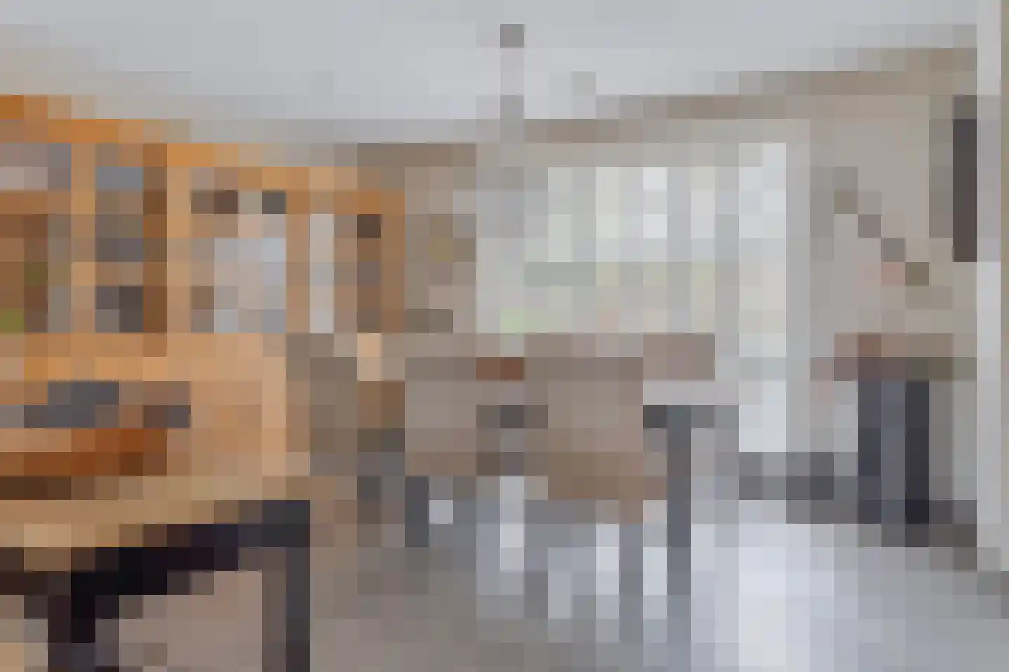 Binnenpad 12 a Koewacht thumbnail 14