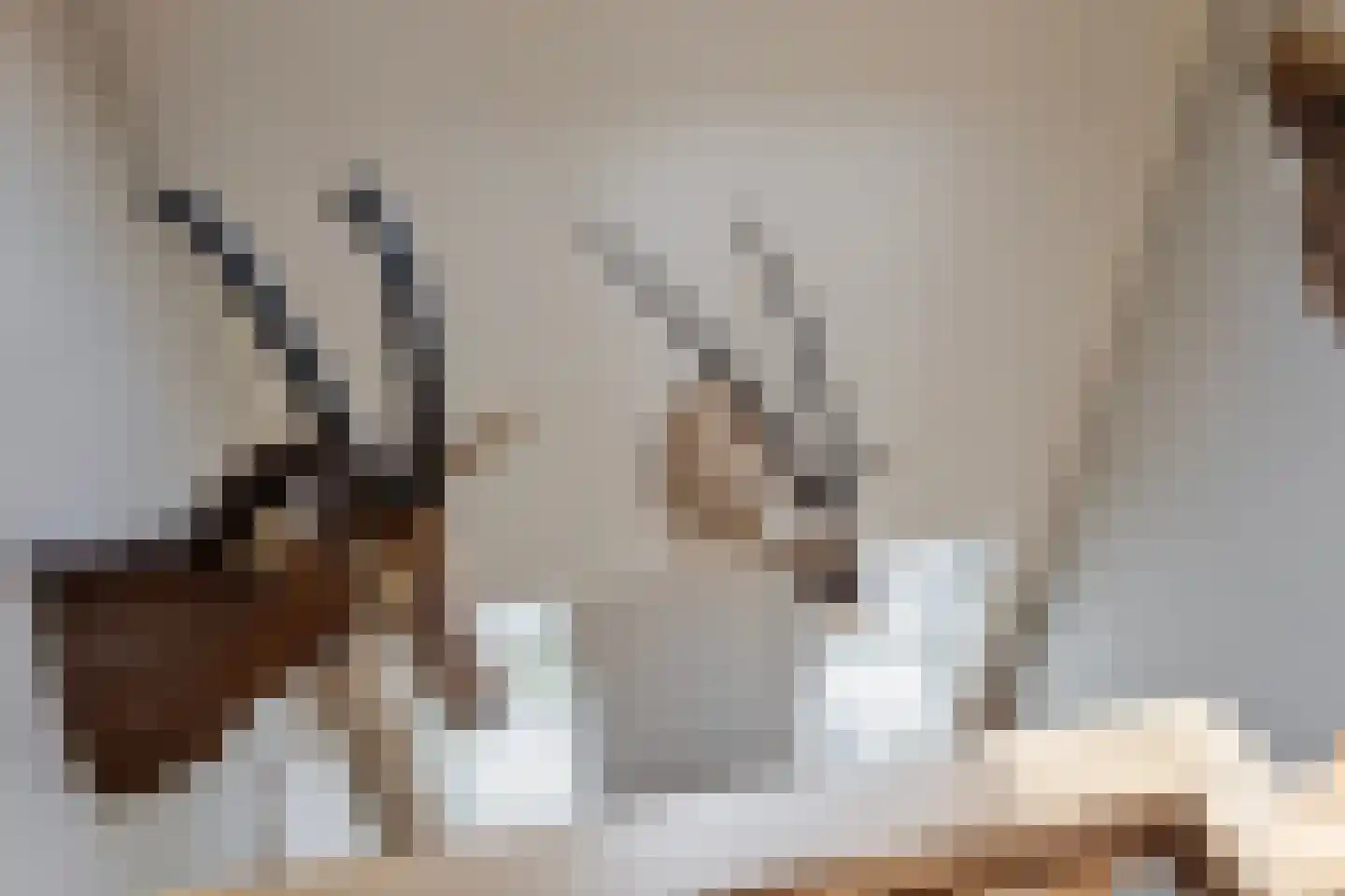 Binnenpad 12 a Koewacht thumbnail 19